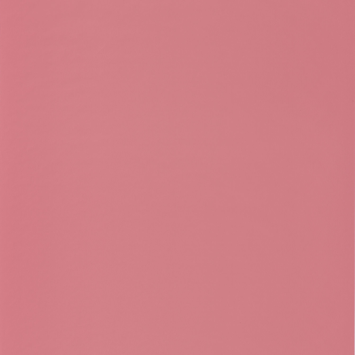 Rose Framboise