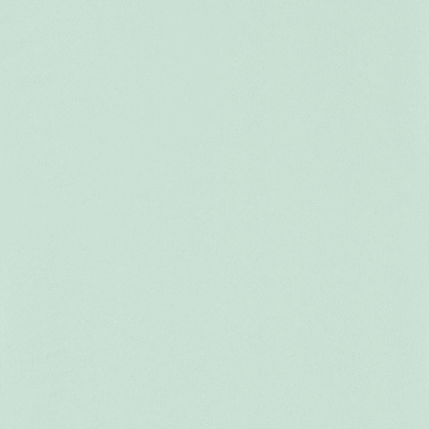 Vert Mint