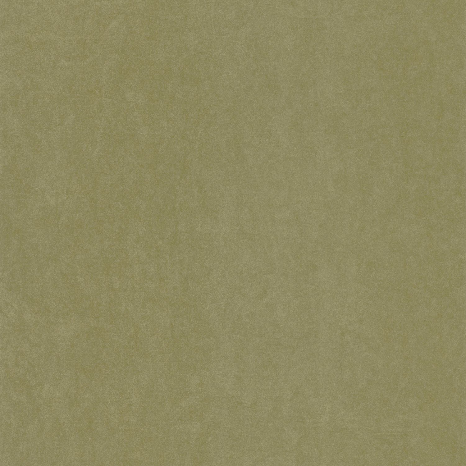 Vert Olive
