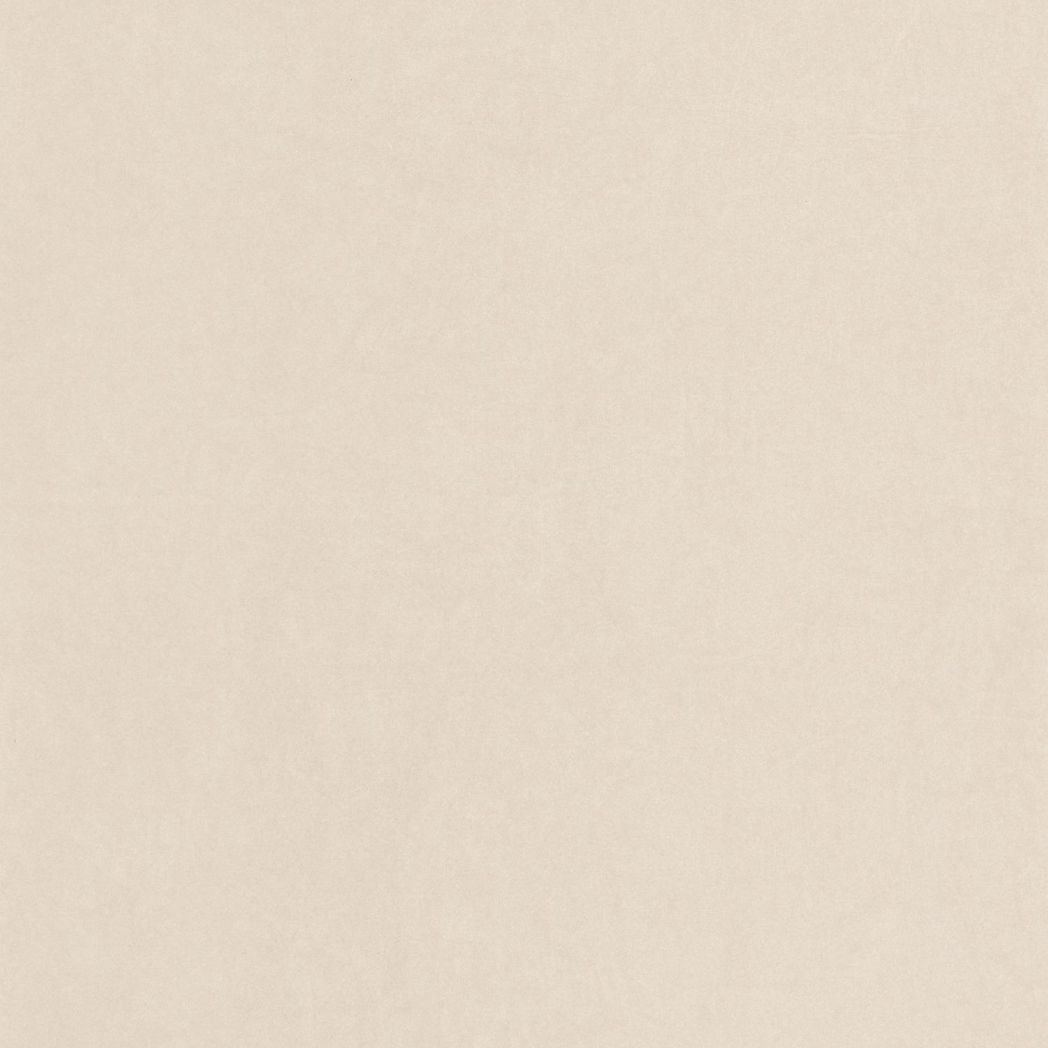 Beige Plume