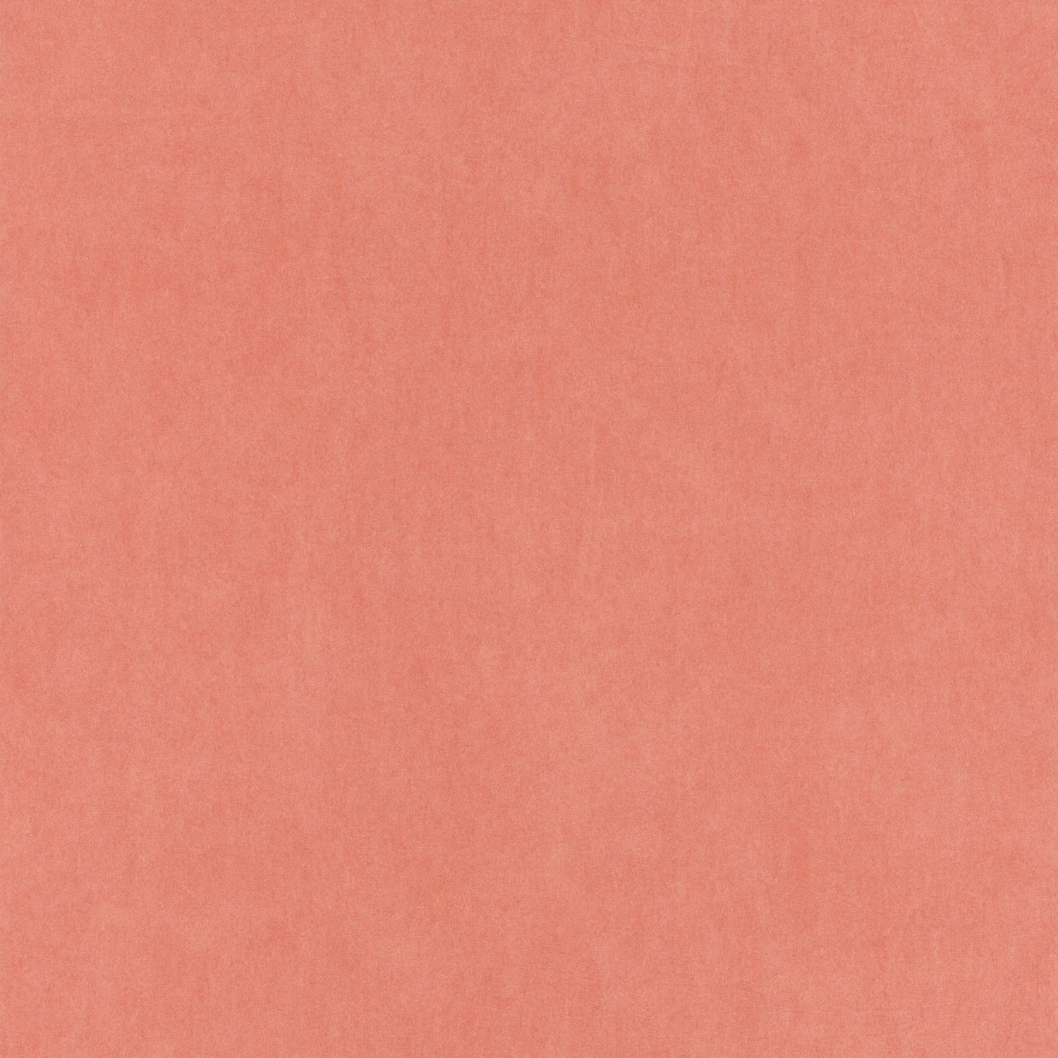 Corail