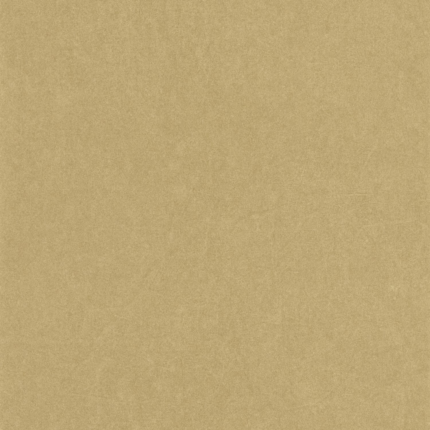 Beige Camel