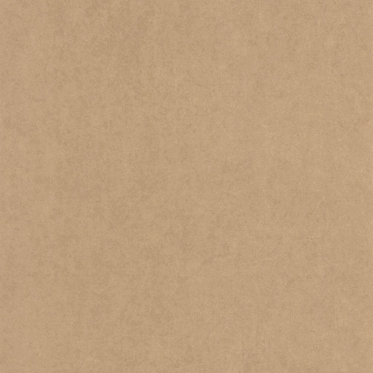 Beige Cognac