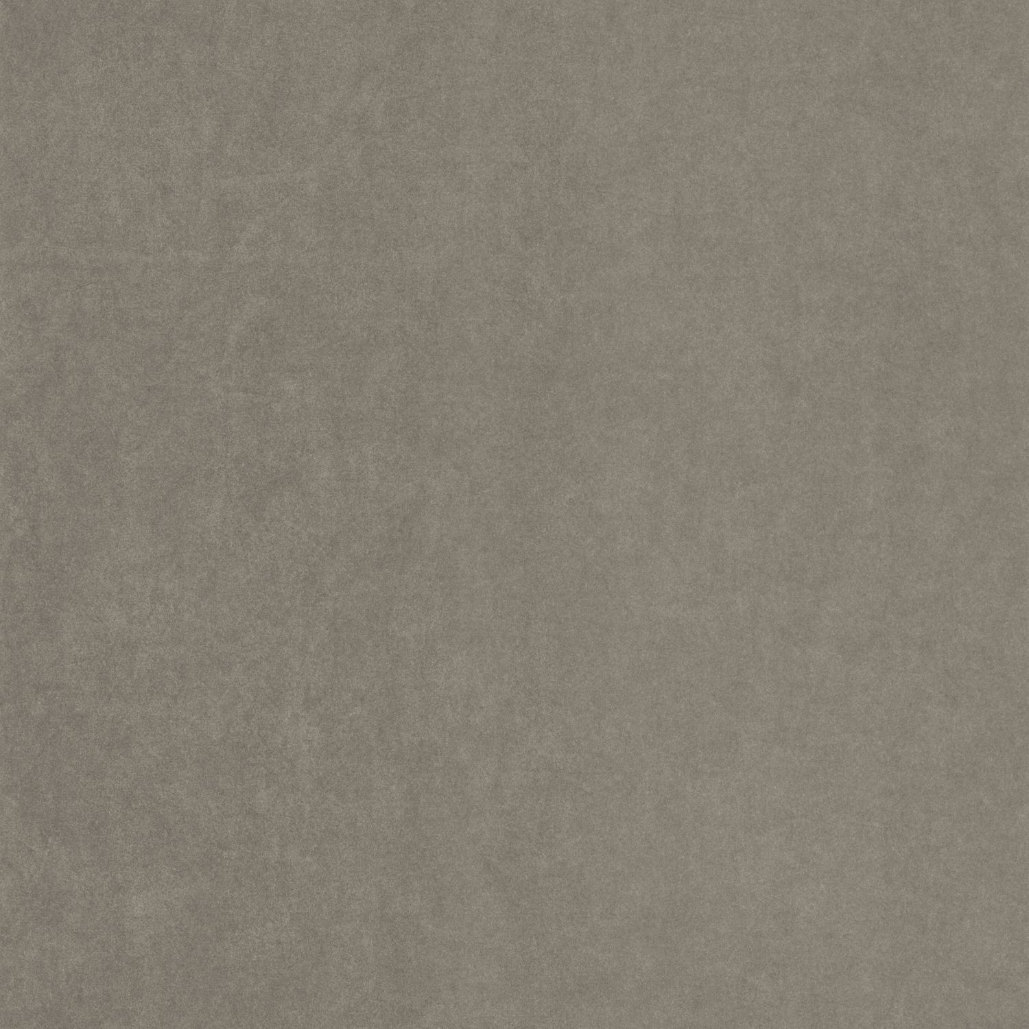 Gris Poivre