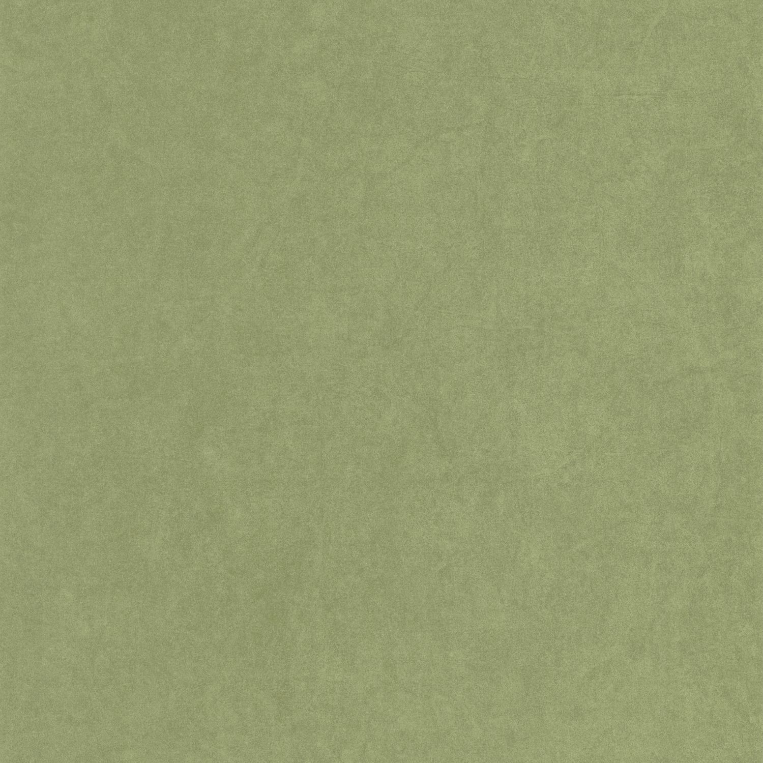 Vert Cactus