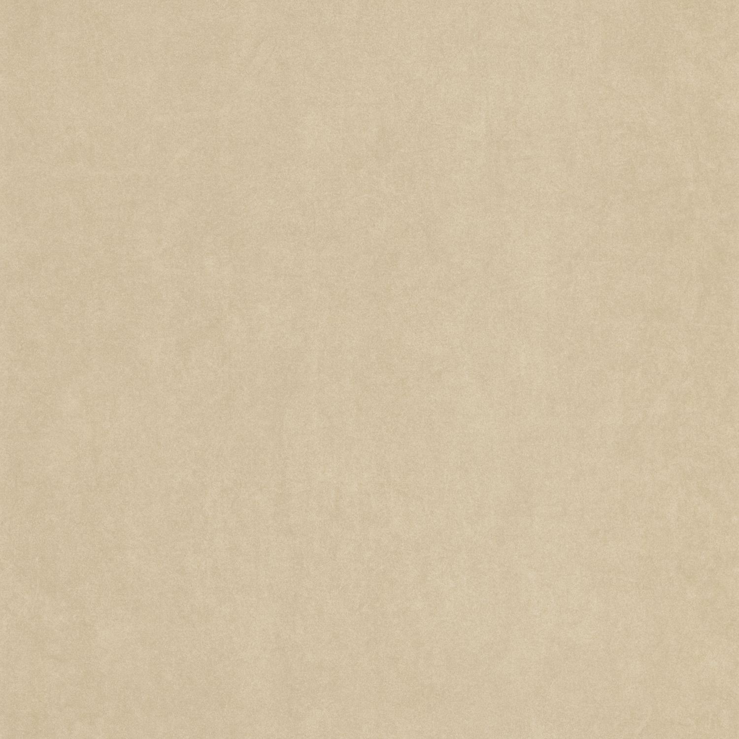 Beige Ficelle