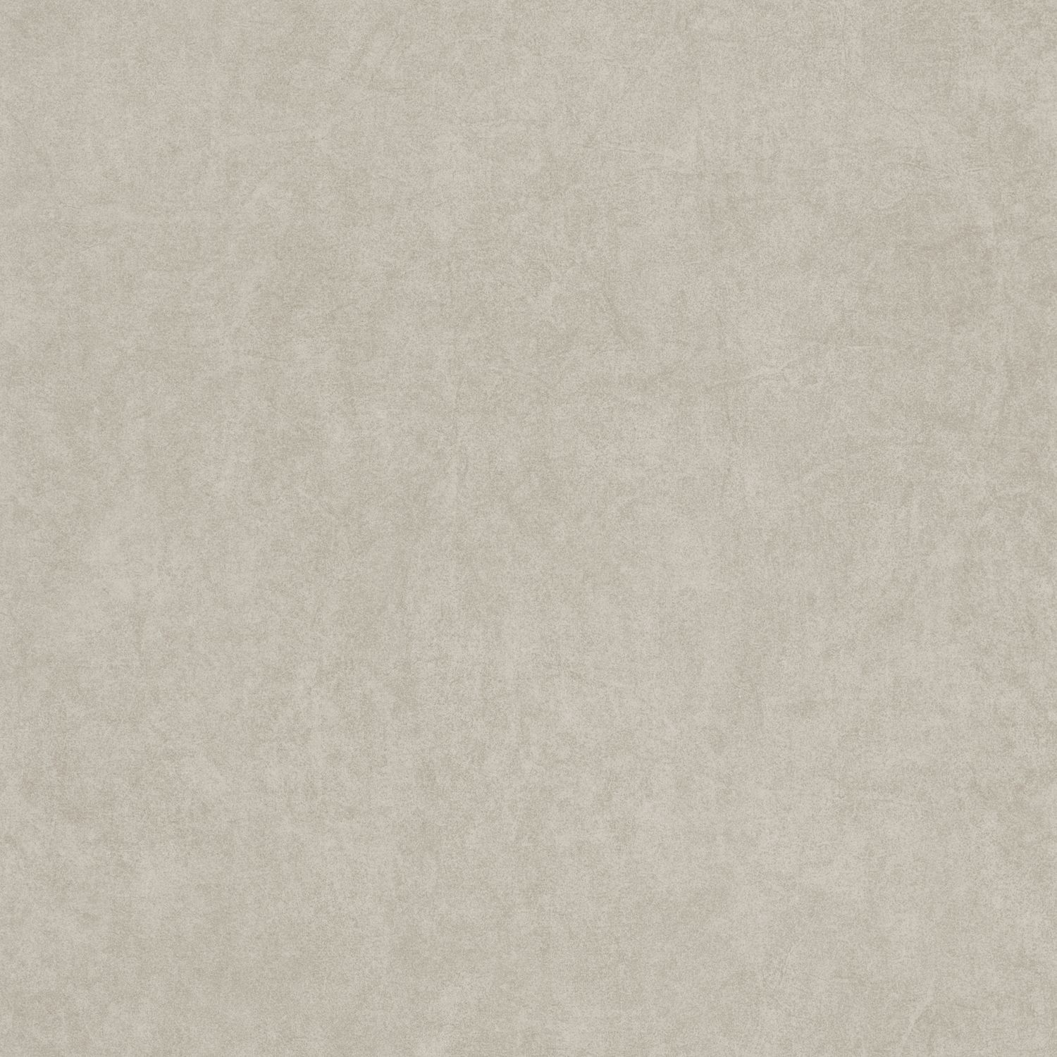 Gris Elephant