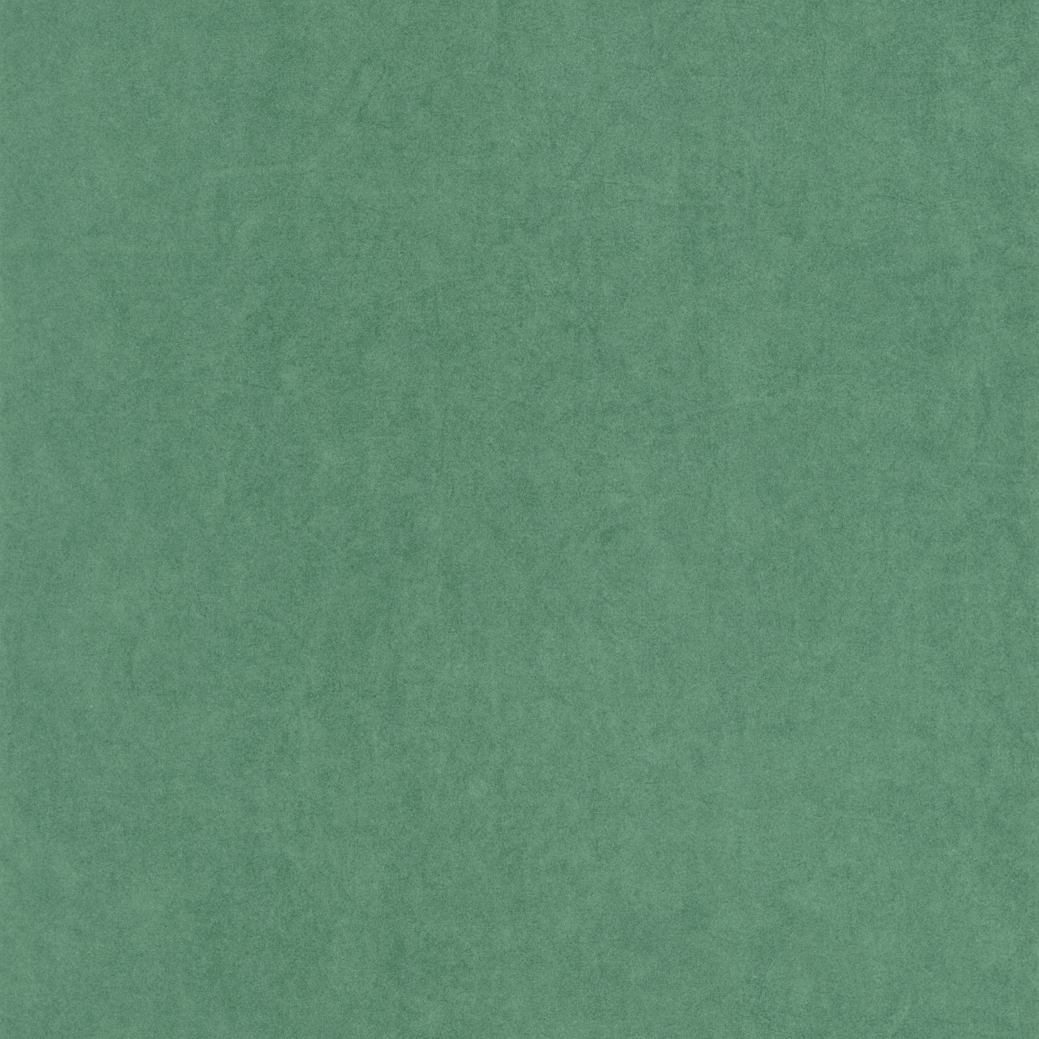 Vert Canopee