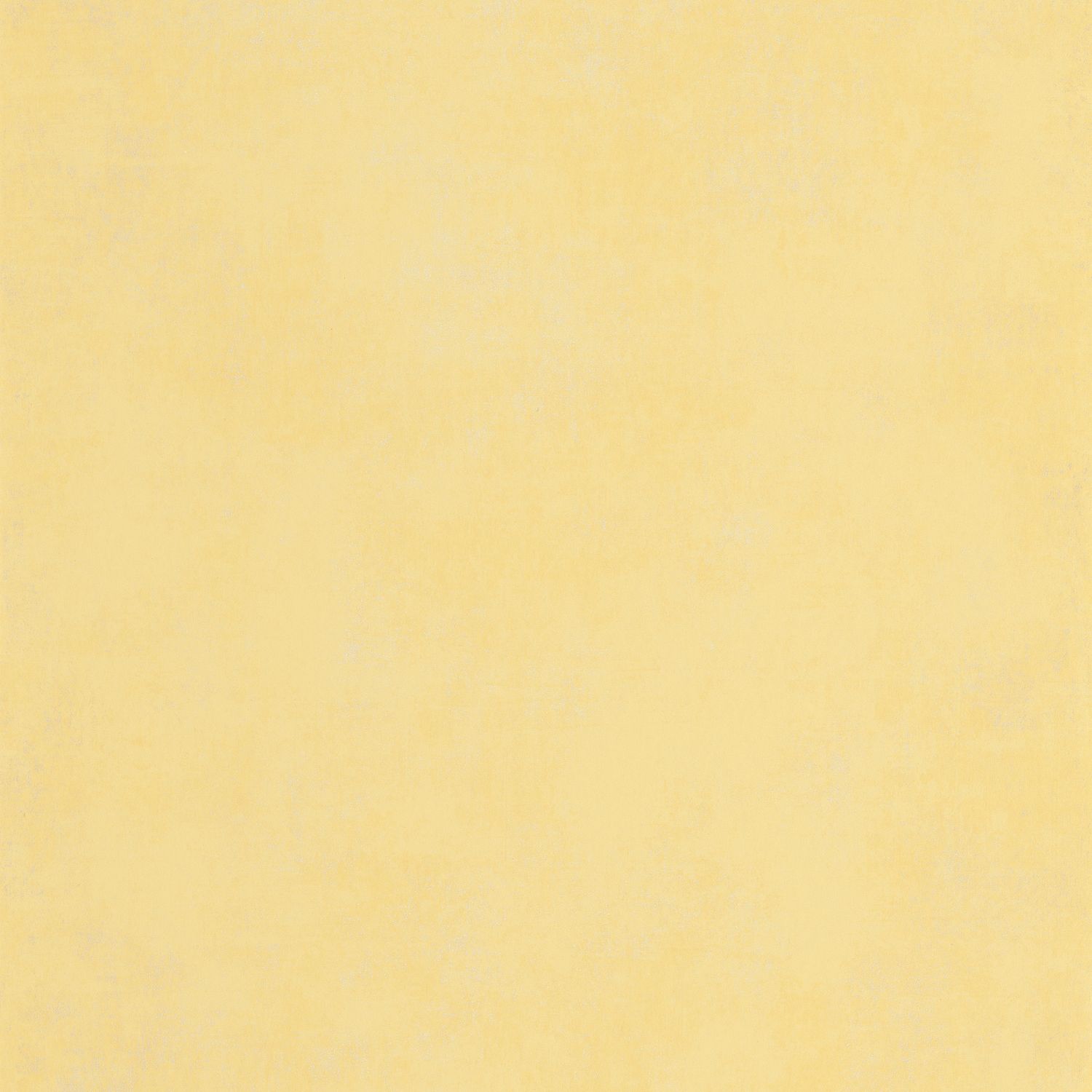 Jaune Alchemille
