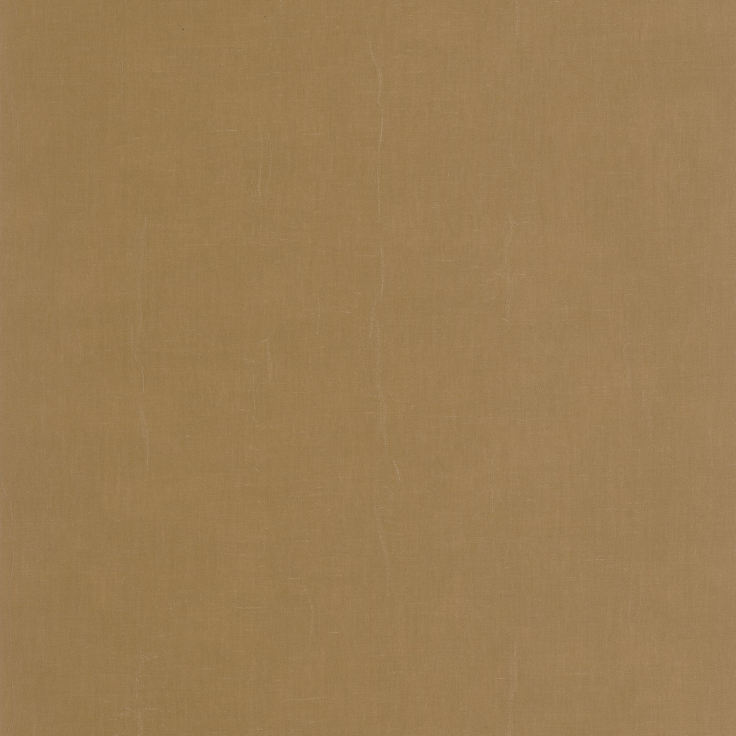 Beige Cognac