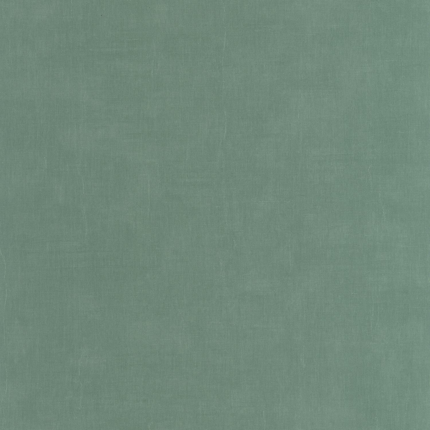 Vert Eucalyptus