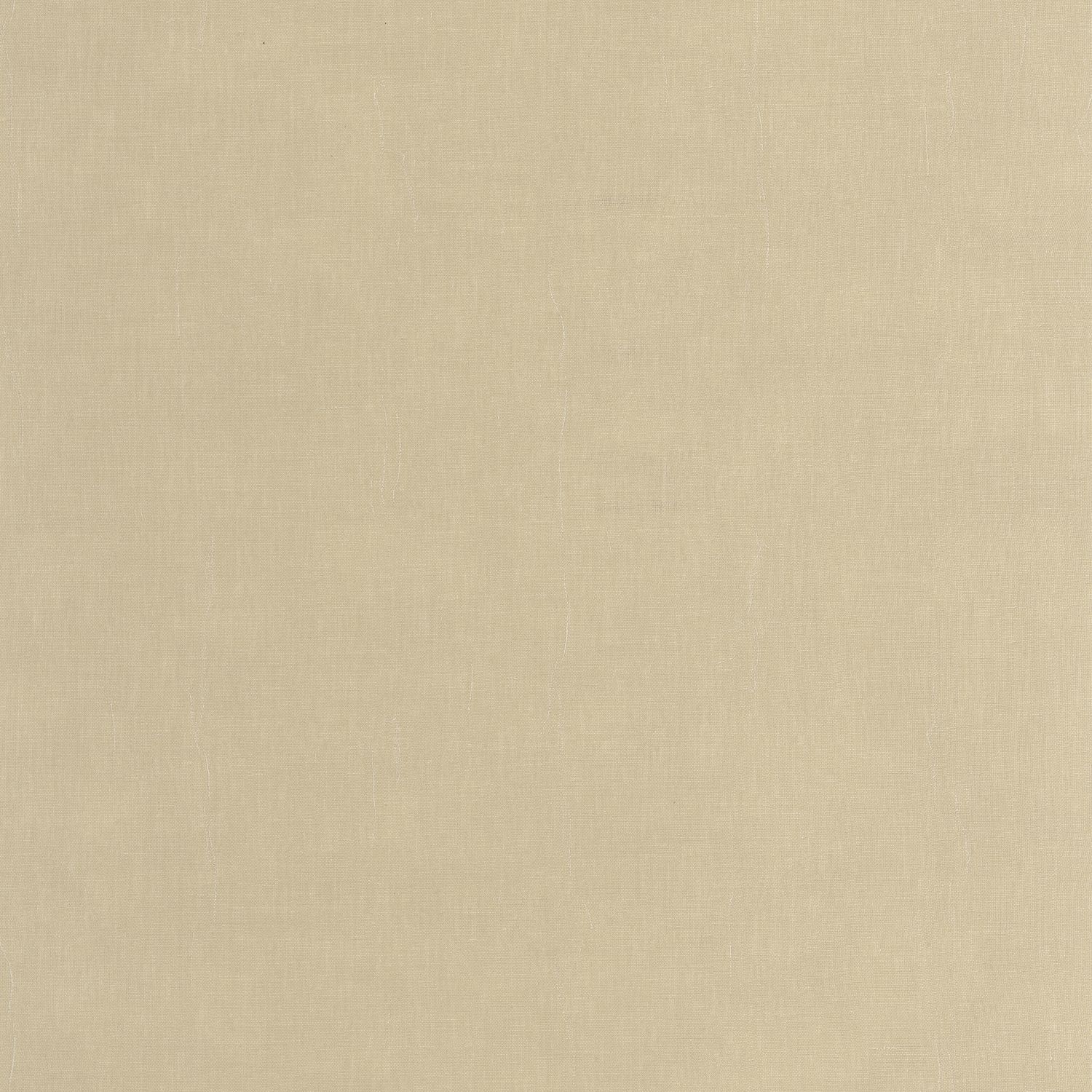 Beige Chamois