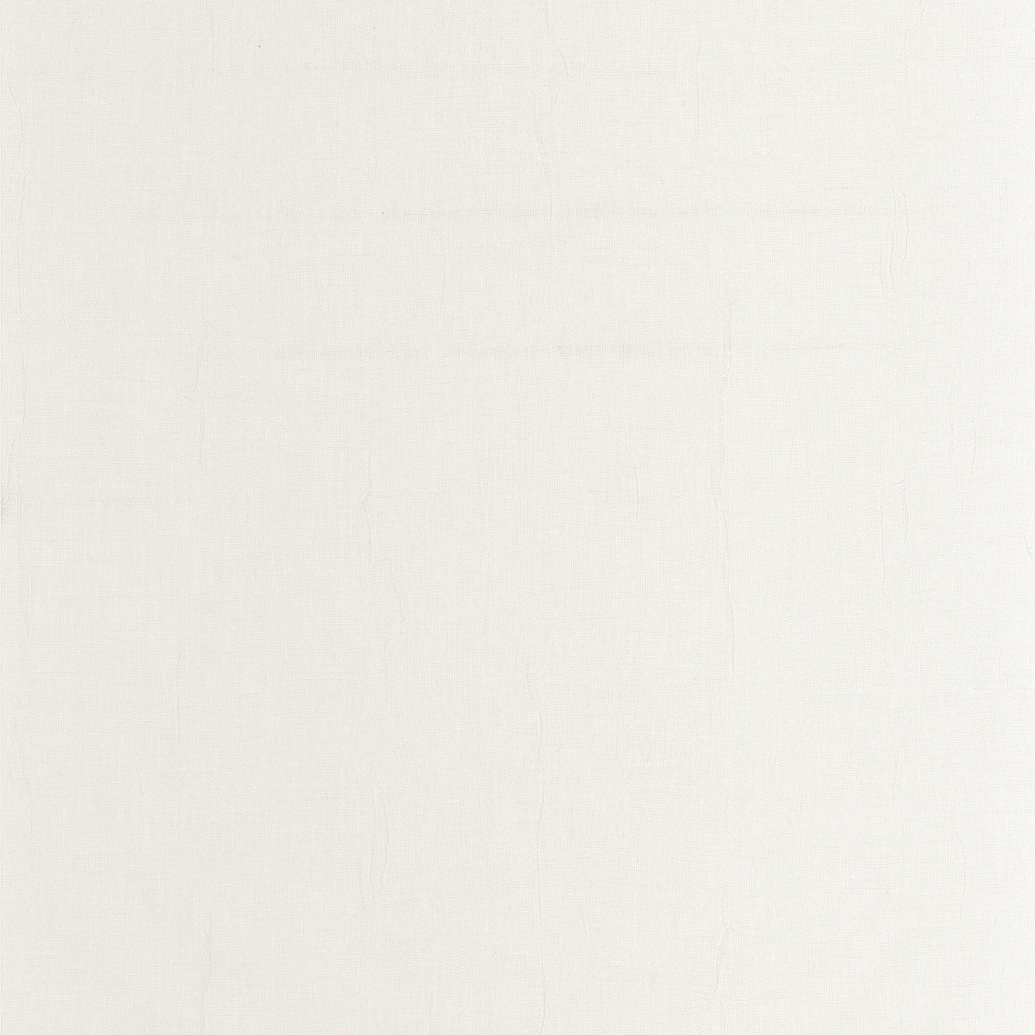 Blanc Polaire