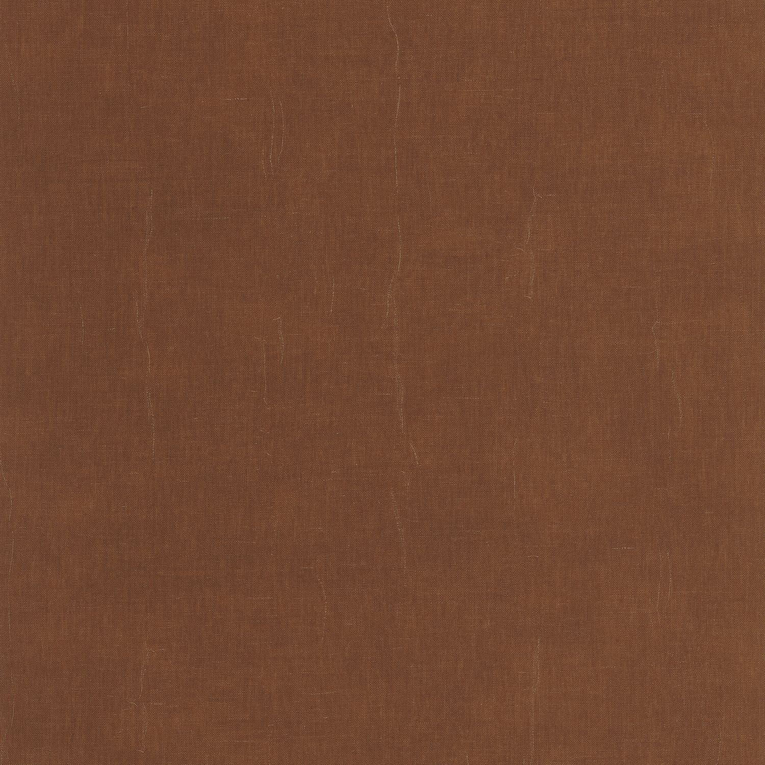 Cacao