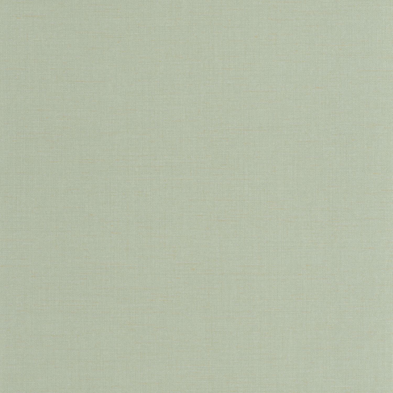 Eucalyptus