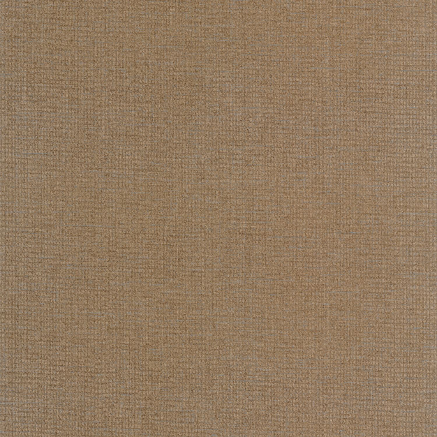 Cacao