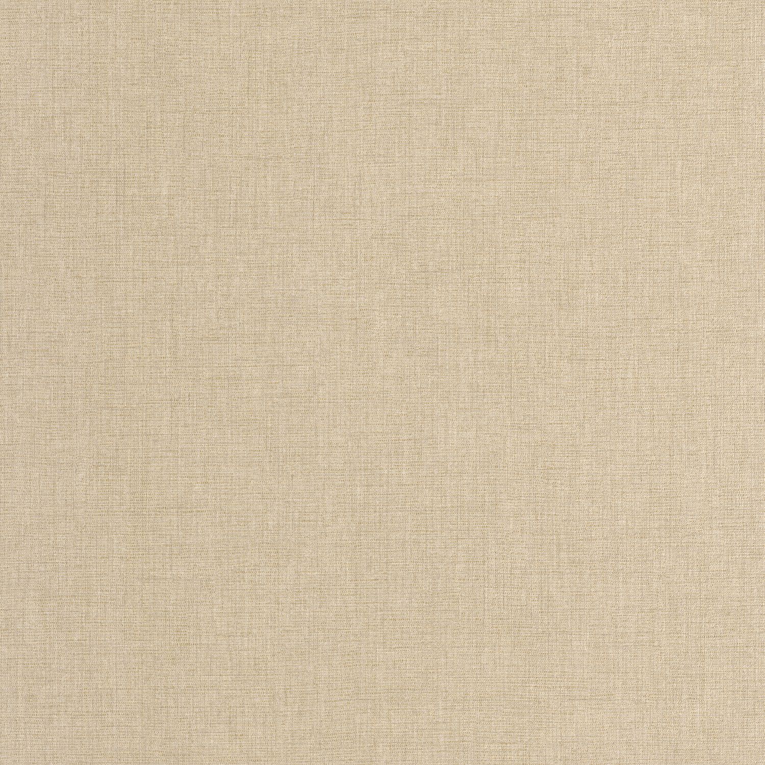 Beige Lin