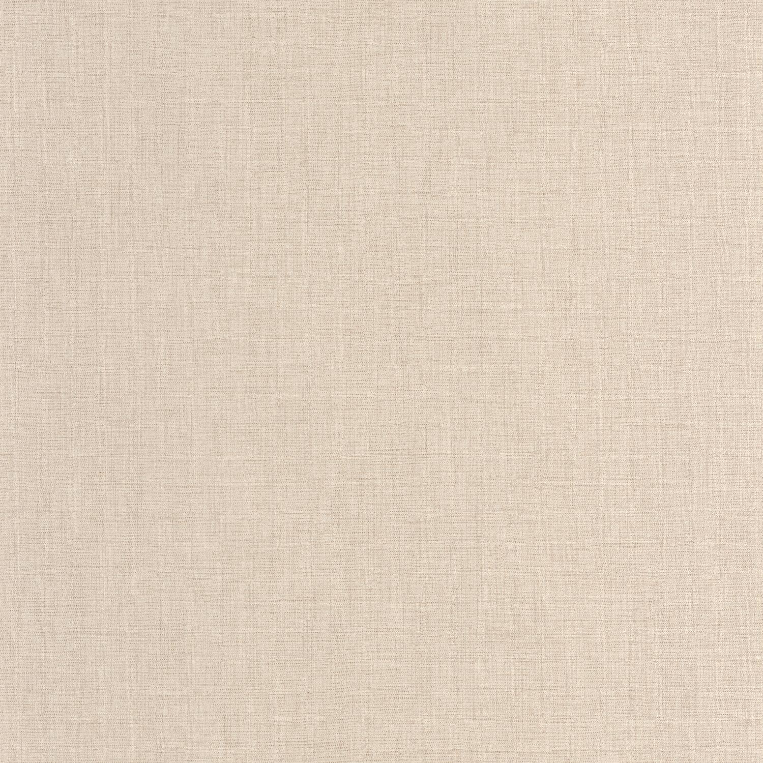 Coquille D'oeuf