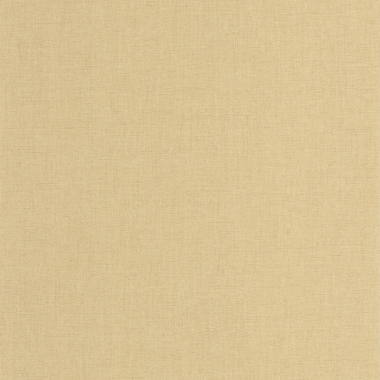 Beige Chamois