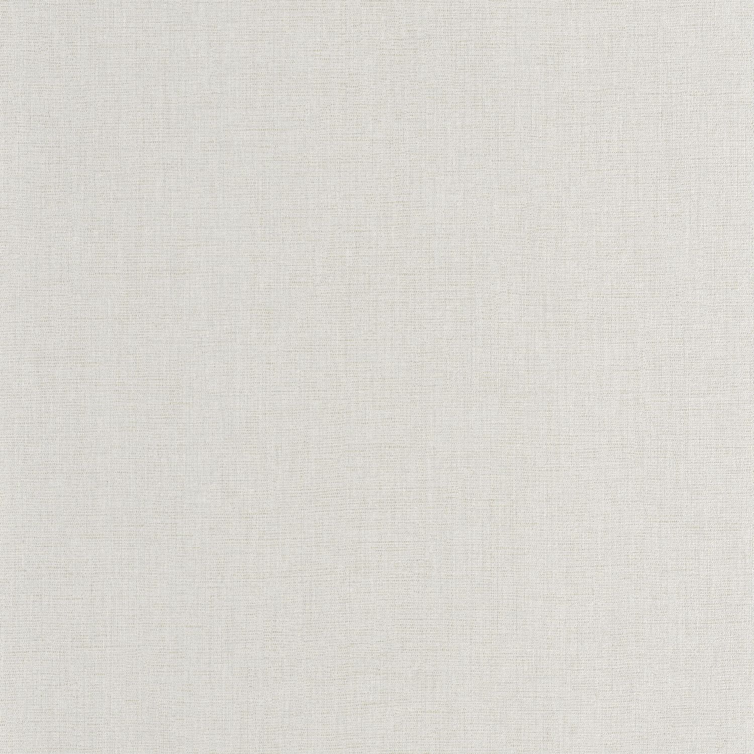 Gris Plume
