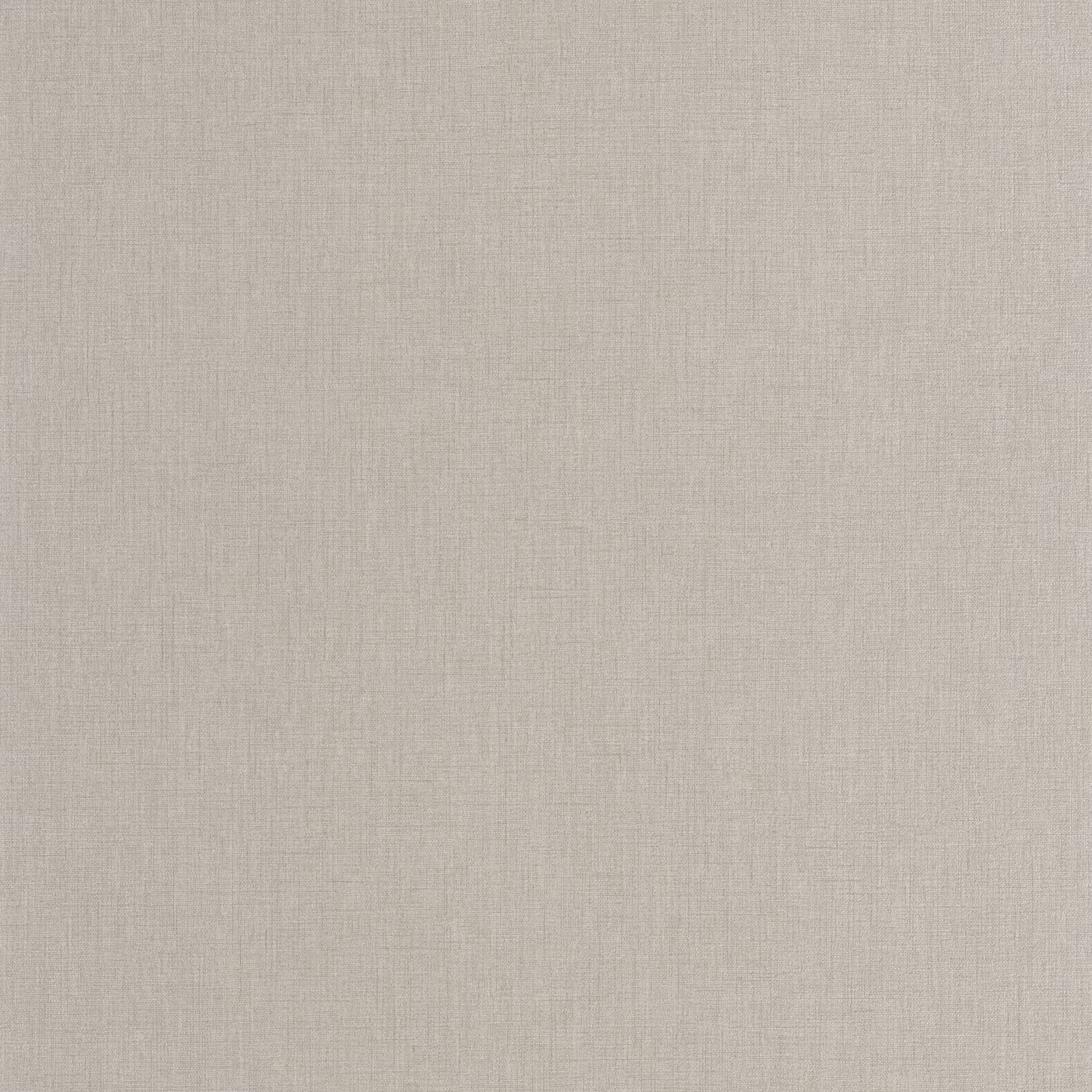 Gris Tourterelle