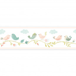 White Colors Borders White Colors Borders