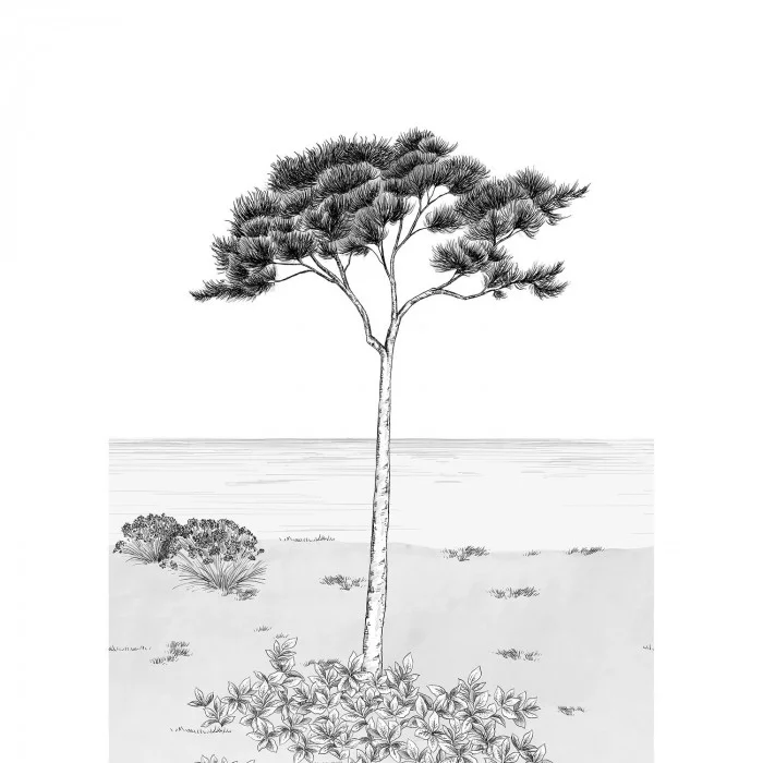 Noir fusain Noir fusain