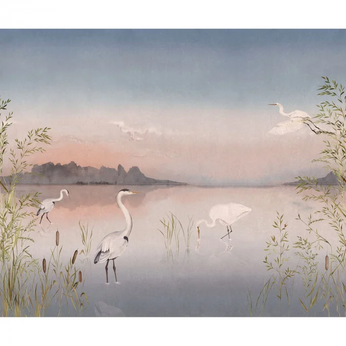 Rose crepuscule Rose crepuscule