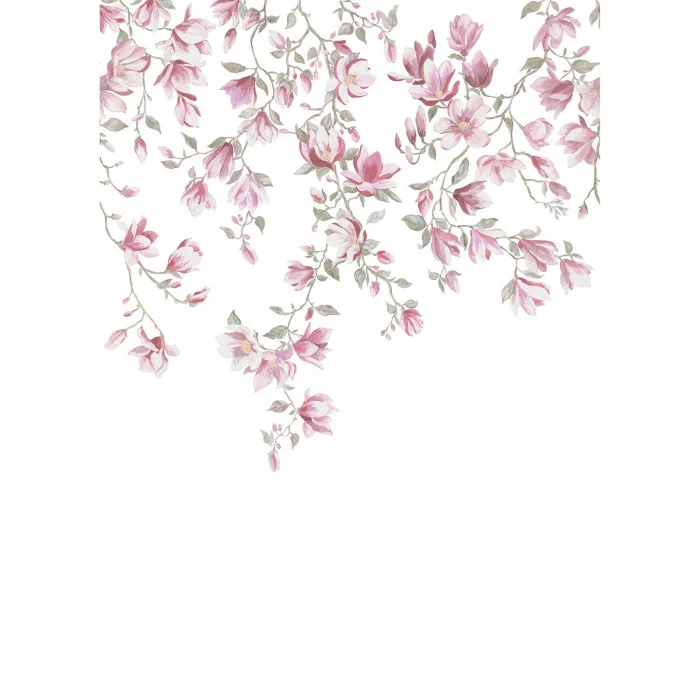 Rose blush Rose blush