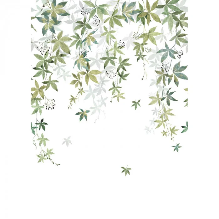 Vert olive Vert olive