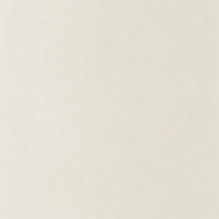 Gris plume Gris plume