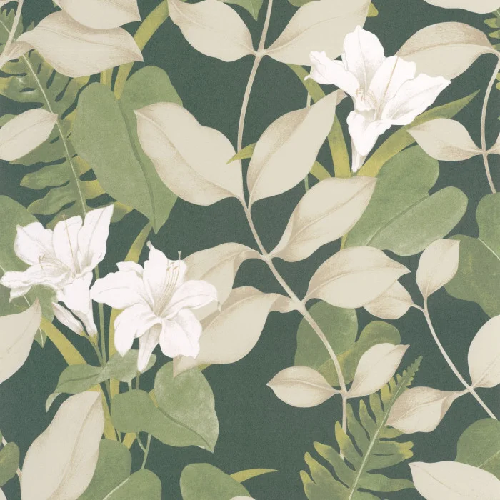 Argile verte Argile verte