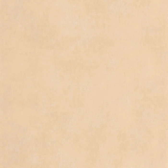 Coquille d’oeuf Coquille d’oeuf