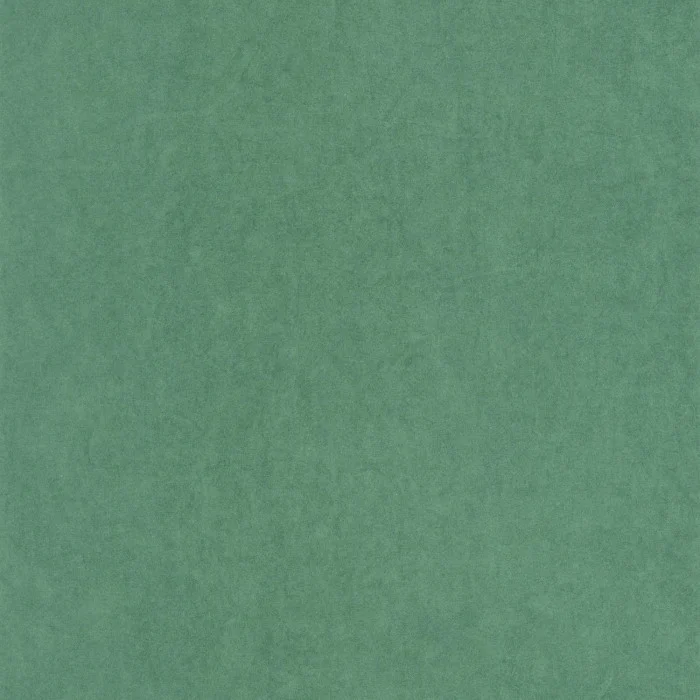 Vert canopee Vert canopee