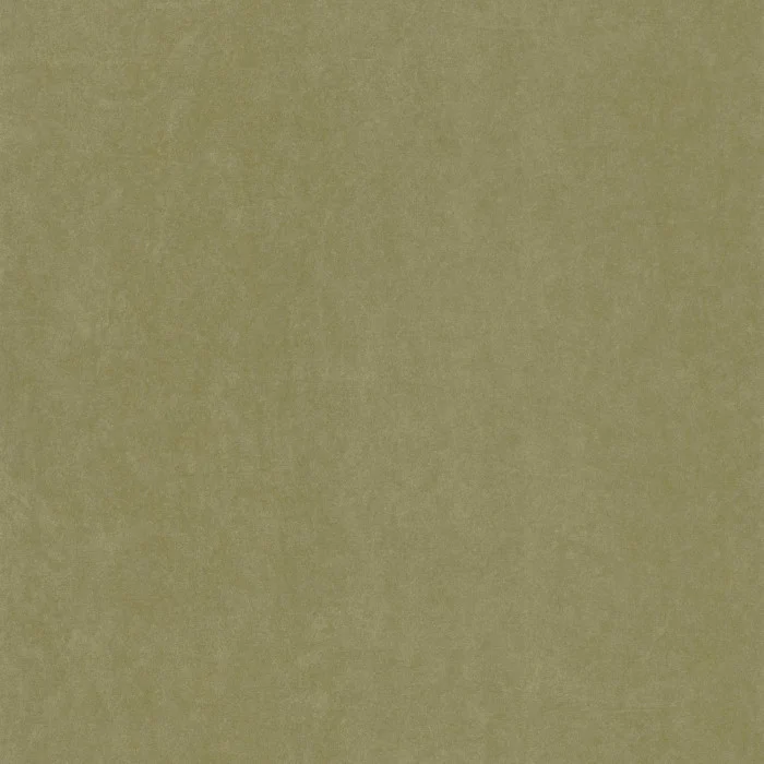 Vert olive Vert olive