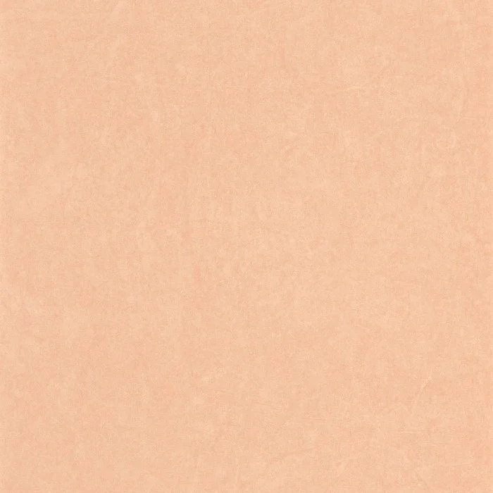 Terracotta Terracotta