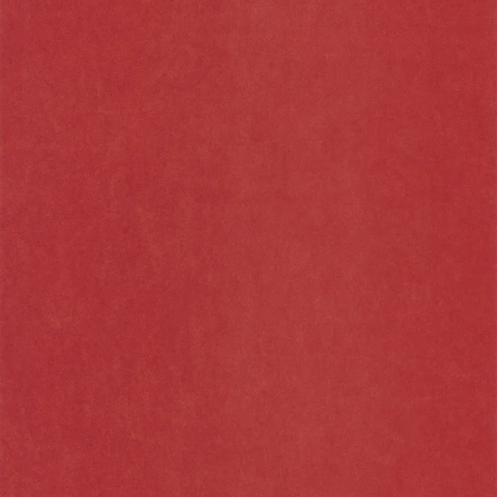 Rouge hibiscus Rouge hibiscus