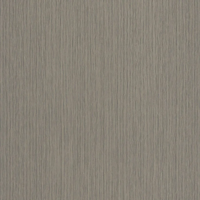 Gris pigeon Gris pigeon