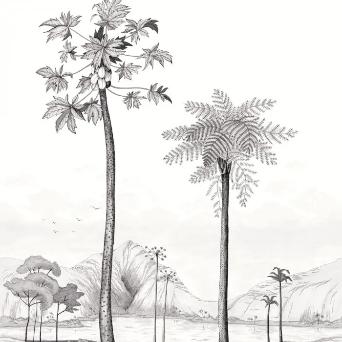 Noir et blanc Noir et blanc