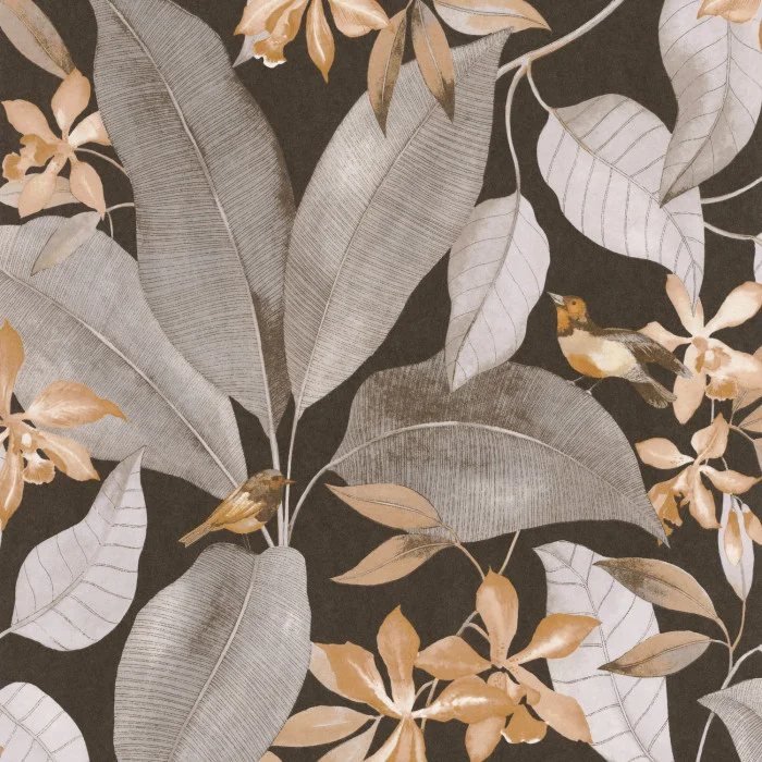 Noir / taupe Noir / taupe