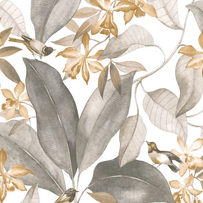 Noir / taupe Noir / taupe