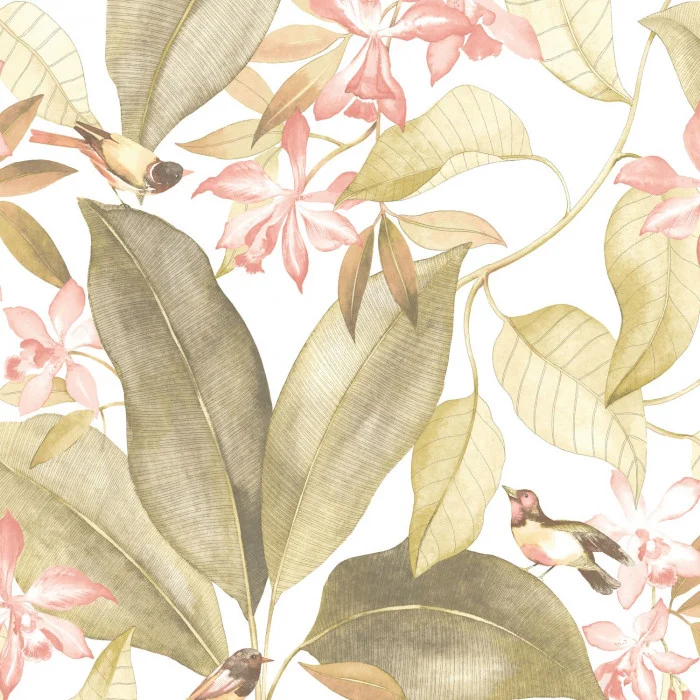 Vert / rose Vert / rose