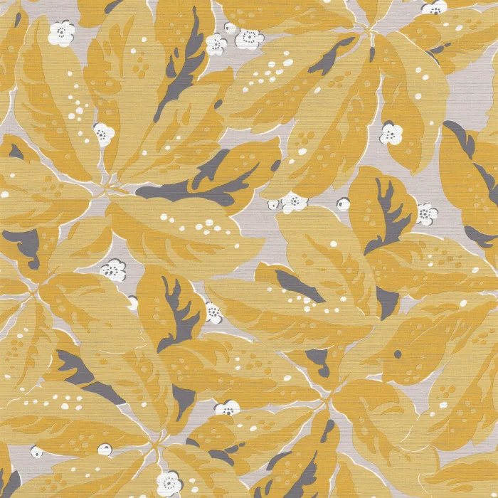 Jaune curry Jaune curry