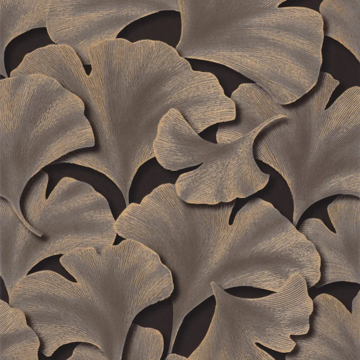 Noir fusain Noir fusain