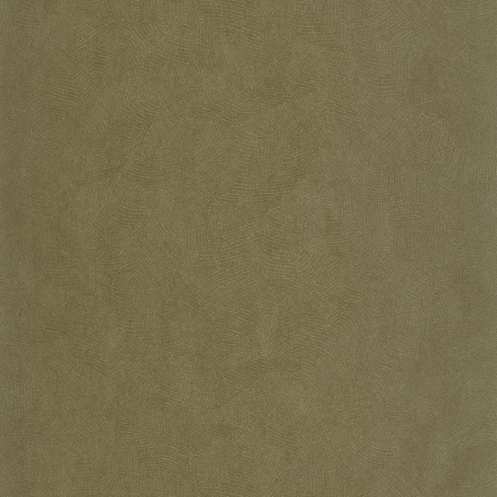 Vert olive Vert olive