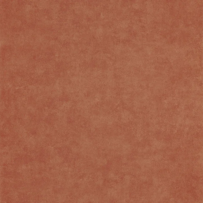 Terre cuite Terre cuite