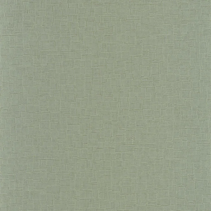 Vert olive Vert olive