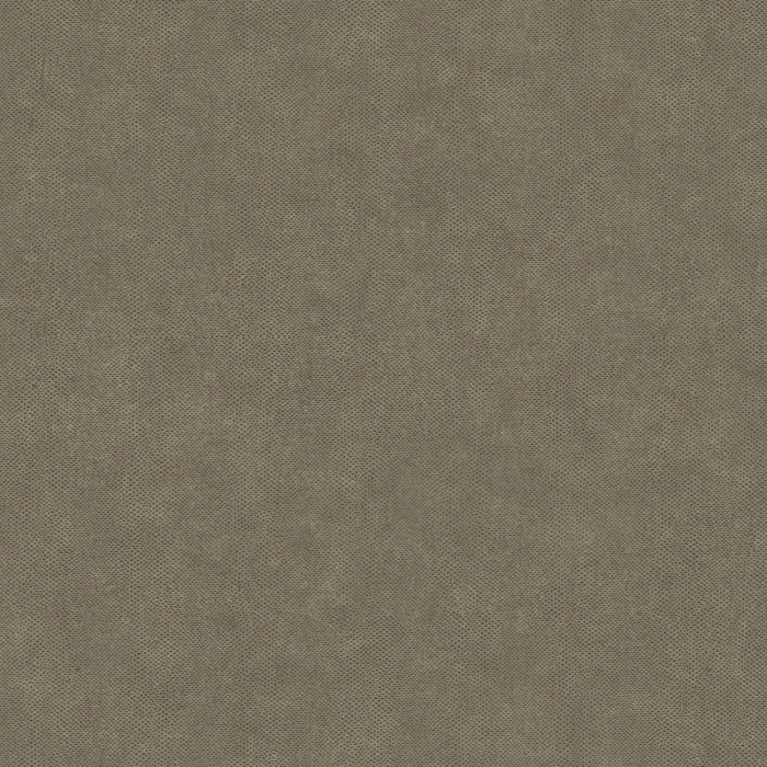 Anthracite Anthracite