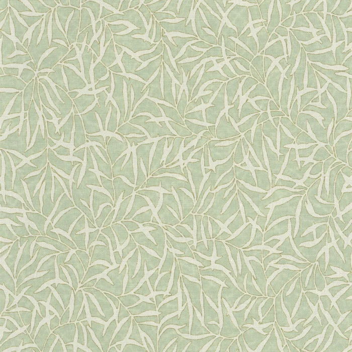 Vert sauge Vert sauge