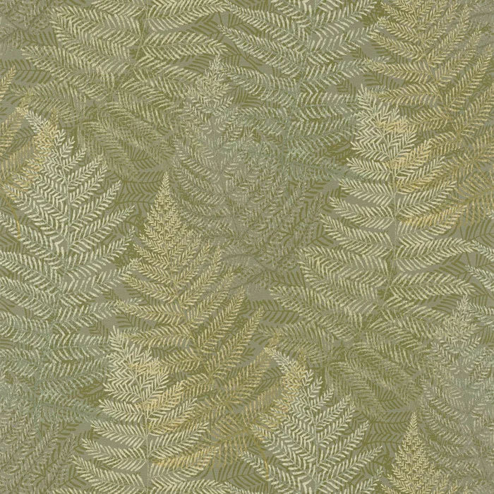 Vert fougere Vert fougere